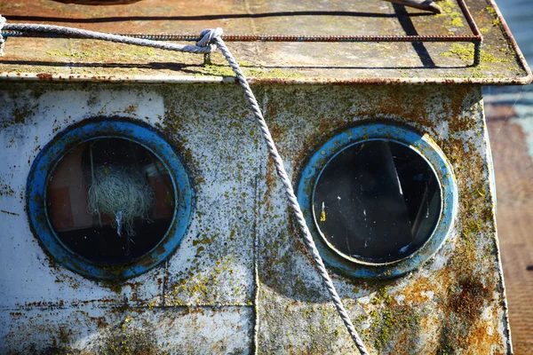 Dos ojos de buey —  Fotos de Stock