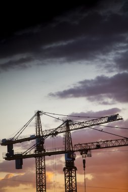 alacakaranlıkta Vinçler