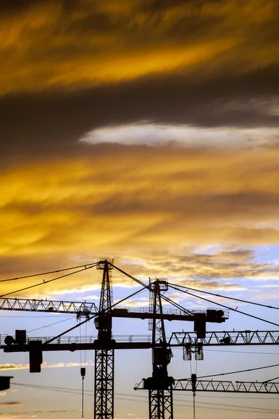 Cranes at dusk — Stock Photo, Image