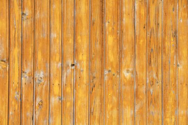 Yeşil ahşap plakalar