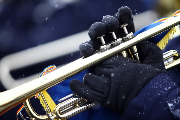 Trompetă de iarnă — Fotografie, imagine de stoc