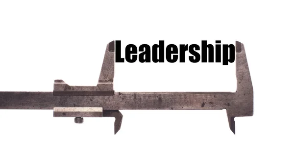 리더십을 측정 — 스톡 사진