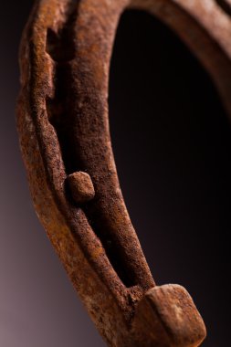 paslı horse Ayakkabı