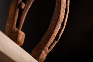 paslı horse Ayakkabı