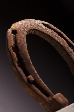 paslı horse Ayakkabı