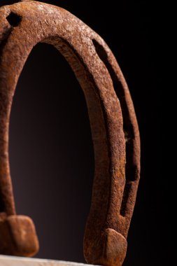 paslı horse Ayakkabı