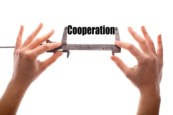 Cooperation — Stock Photo, Image