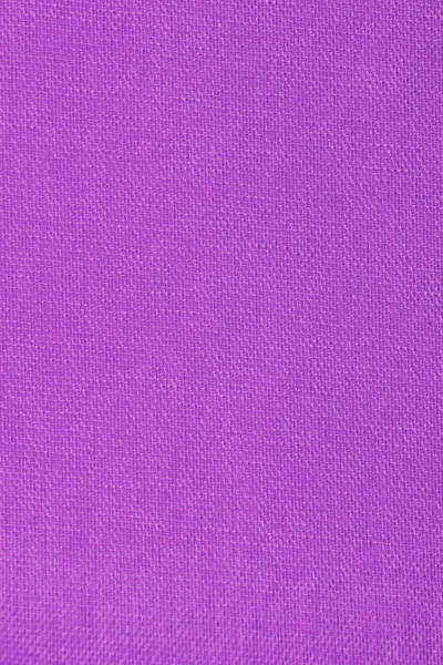 Violetti tausta — kuvapankkivalokuva