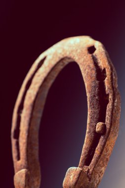paslı horse Ayakkabı