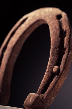 paslı horse Ayakkabı
