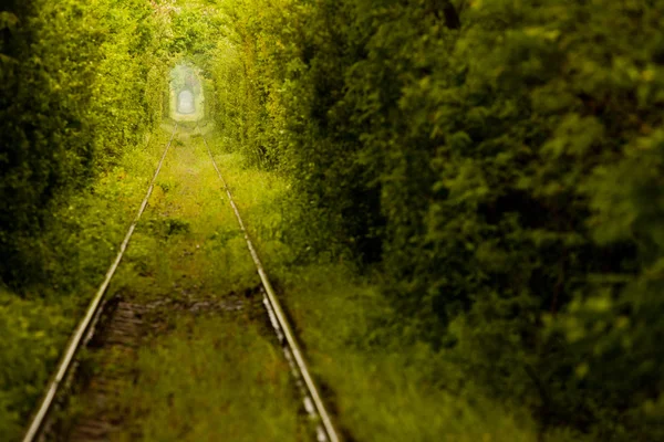 Tunnel d'amour en Roumanie — Photo