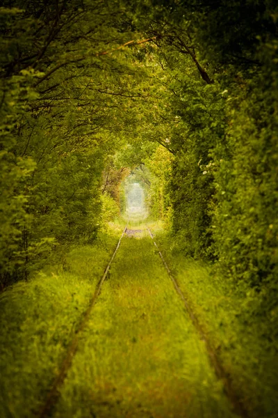 Kärlek tunnel i Rumänien — Stockfoto