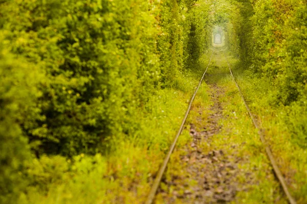 ルーマニアでの愛のトンネル — ストック写真