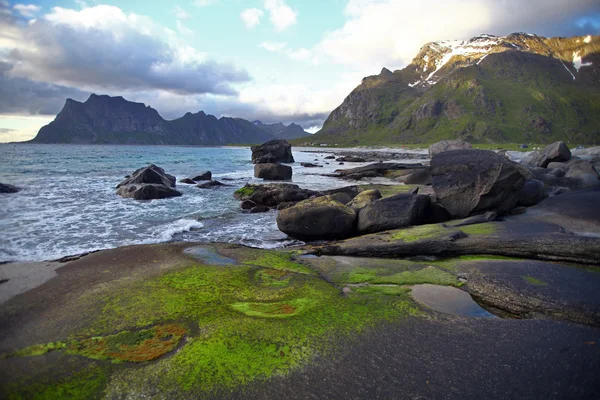 Lofoten, Norveç'te taşlı beach