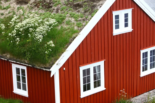 Lofoten, Norveç'te geleneksel evleri — Stok fotoğraf