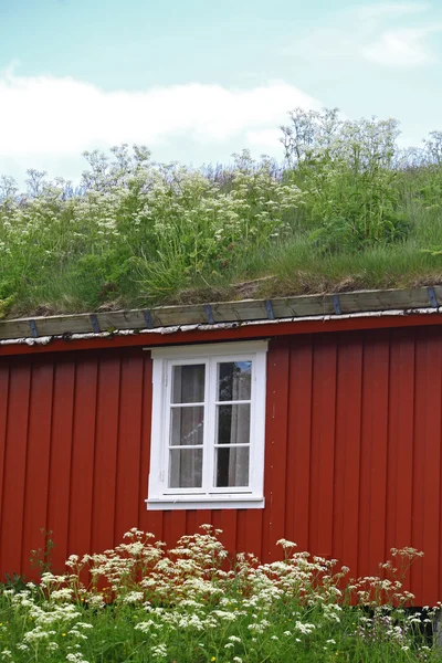 Casas tradicionais em Lofoten, Noruega — Fotografia de Stock