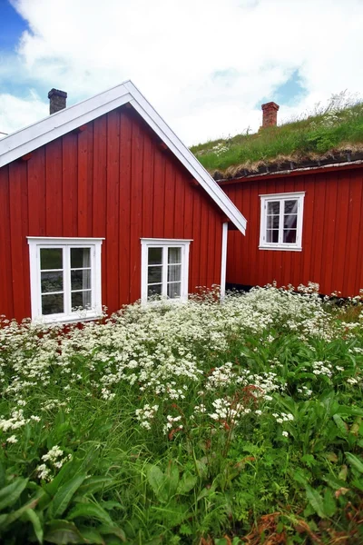 Lofoten, Norveç'te geleneksel evleri — Stok fotoğraf