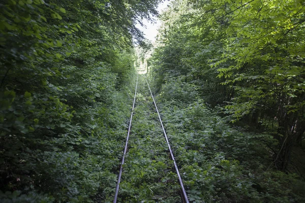 빈 철도 이미지 — 스톡 사진