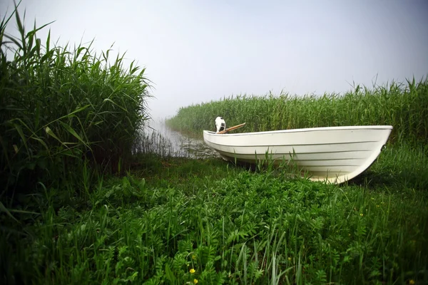 Лодка в туманный день — стоковое фото