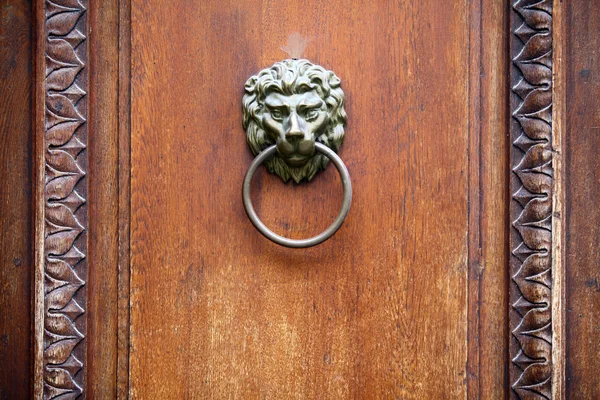 Pukanie do drzwi lwa — Zdjęcie stockowe