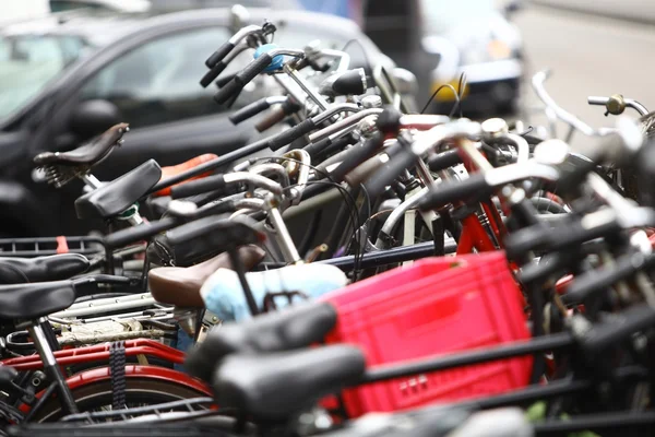 Group of parked bicycles — Stock Photo, Image