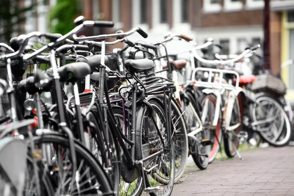 Group of parked bicycles — Stock Photo, Image