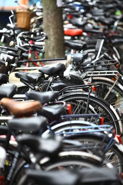 Group of parked bicycles — Stock Photo, Image