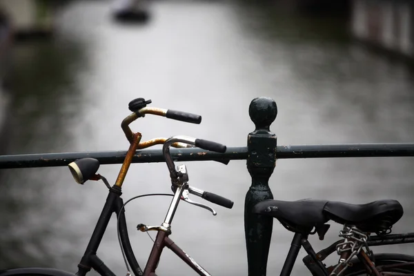 Grup park edilmiş Bisiklet — Stok fotoğraf