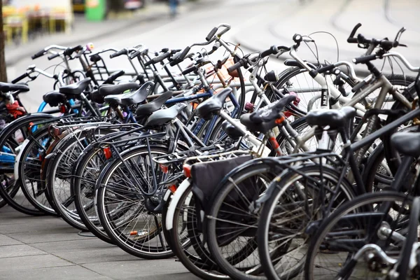 Group of parked bicycles — Stock Photo, Image