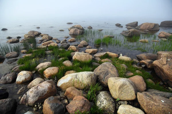 Niebla y rocas —  Fotos de Stock