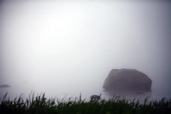 Nebel und Felsen — Stockfoto