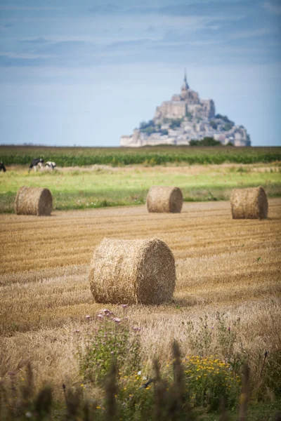 Rotoli di fieno sul campo — Foto Stock