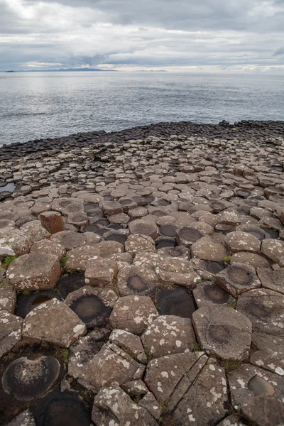 Giant's Causeway formazioni vulcaniche — Foto Stock