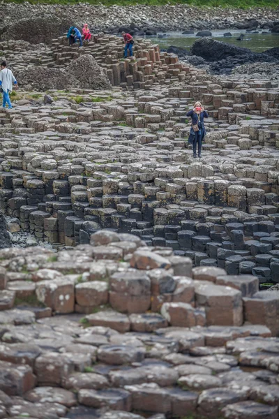 Giant's Causeway formazioni vulcaniche — Foto Stock