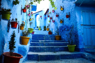Mavi şehir: chefchaouen