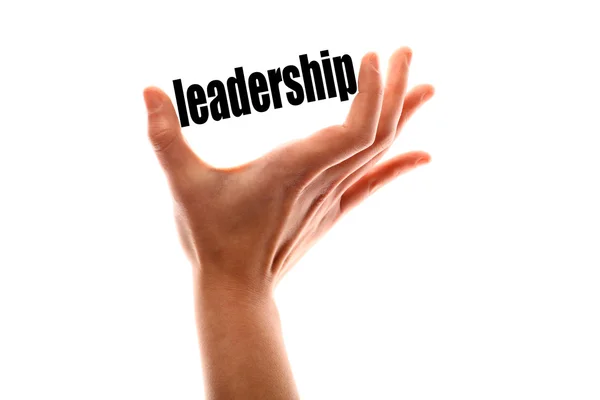 Smaller leadership concept — Stock Photo, Image