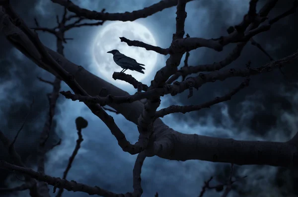 Moon behind the tree and a raven on it. — Stock Photo, Image