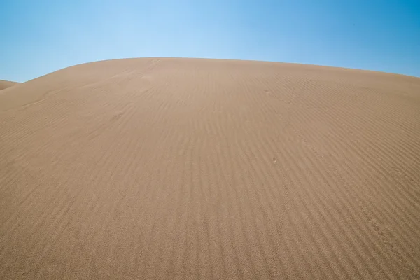 Красивые песчаные дюны на восходе солнца в пустыне — стоковое фото