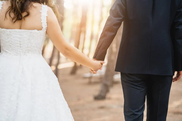 Novia y novio juntos, y tomados de la mano contra la vista profunda del bosque. Concepto de boda —  Fotos de Stock