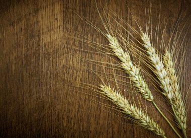 Ahşap üzerine buğday tahıl