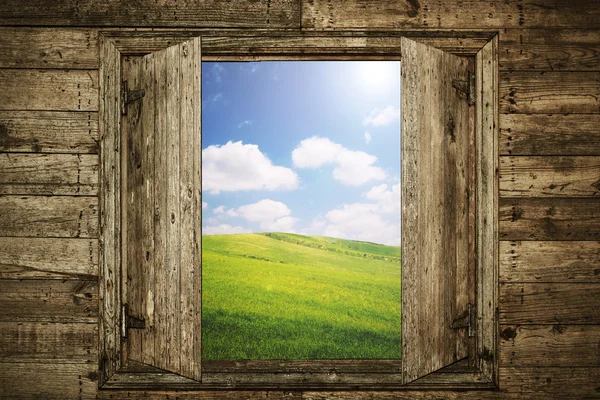 Green Heaven View from inside of room — Stock Photo, Image