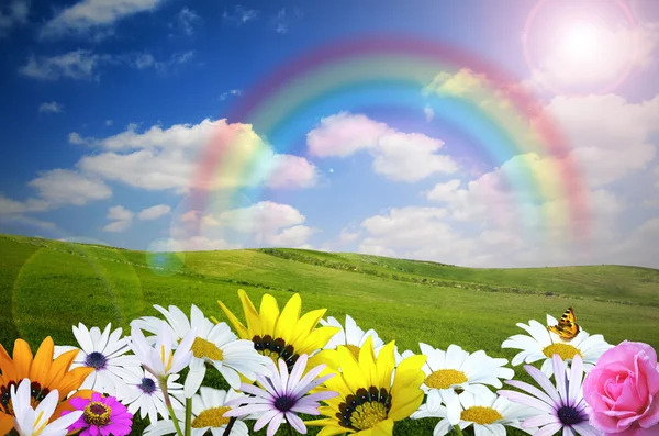 Wiosenne kwiaty, tęcza, słońce i błękitne niebo — Zdjęcie stockowe