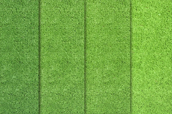 Diferenças de cor de grama verde — Fotografia de Stock