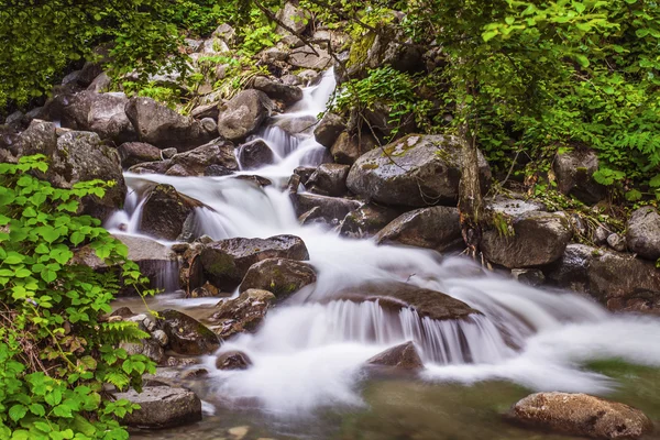 Cachoeira na selva, karadeniz, peru — Fotografia de Stock