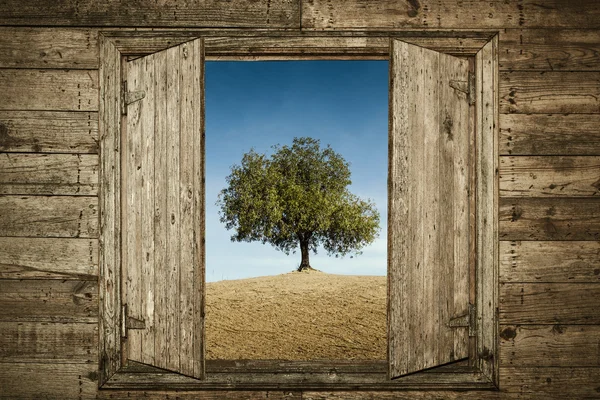 Bir ahşap çerçeve penceresiyle. — Stok fotoğraf