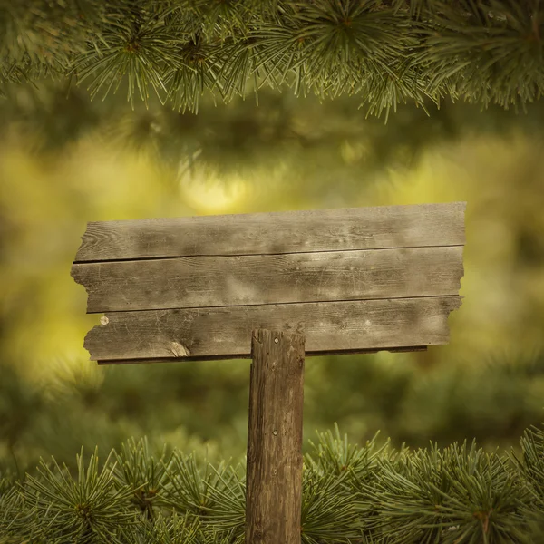 松の木と空の風化木製看板 — ストック写真