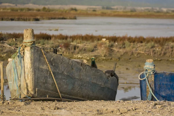 Old Boats — Stock Photo, Image