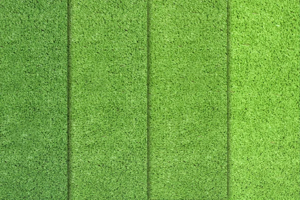 녹색 잔디 색상 차이 — 스톡 사진
