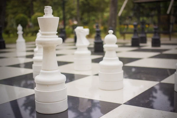 Chess great outdoors on a summer day — Stock Photo, Image