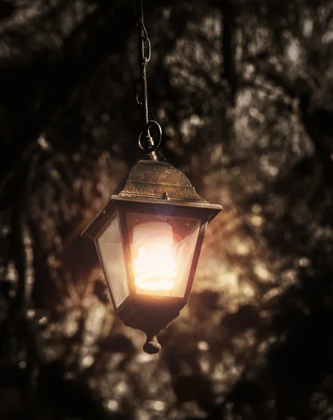 Ağaçlarda mistik eski sokak lambası — Stok fotoğraf